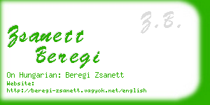 zsanett beregi business card